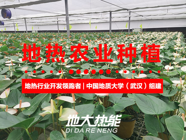 濟南：“地熱能+農業(yè)”產業(yè)融合，讓地熱能真正“熱”起來-地大熱能